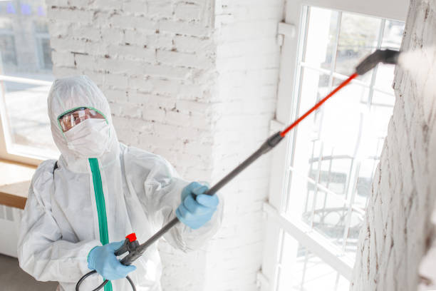 Best Asbestos and Lead Testing During Mold Inspection  in Crystal Lake, FL