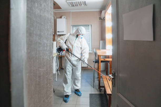 Best Post-Remediation Verification Testing  in Crystal Lake, FL