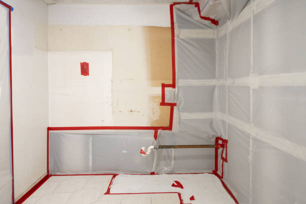 Forensic Mold Investigation in Crystal Lake, FL
