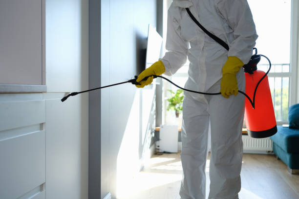 Best Residential Mold Inspection & Testing  in Crystal Lake, FL