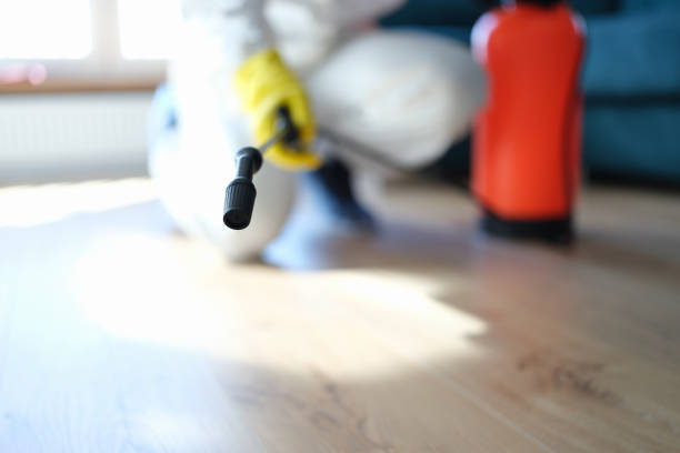 Best Mold Remediation for Healthcare Facilities  in Crystal Lake, FL