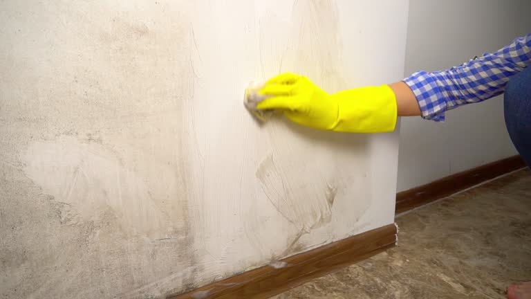 Best Mold Odor Removal Services  in Crystal Lake, FL
