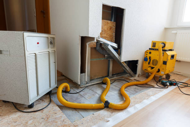 Mold Odor Removal Services in Crystal Lake, FL