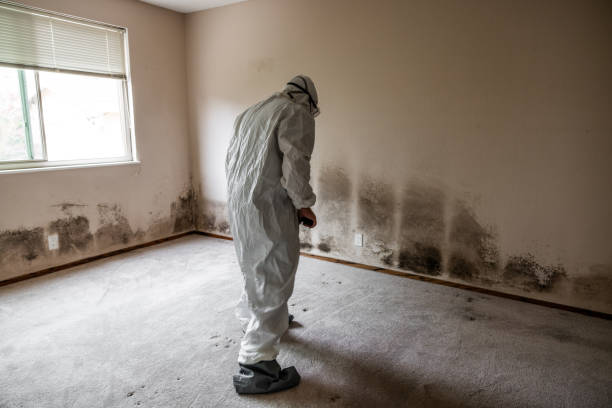Best Biohazard Mold Removal  in Crystal Lake, FL