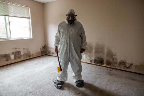 Best Biohazard Mold Removal  in Crystal Lake, FL